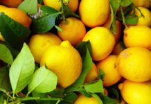 Citronová šťáva zvenku: Tušíte, co udělá s vlasy, pokožkou či nehty?