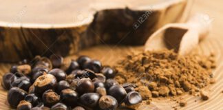 Guarana – kofein skrytý v červených plodech