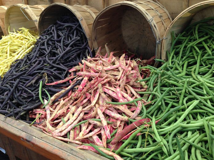 beans-260210_960_720