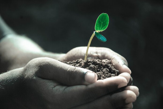grow.cz_svet-vyzivy.cz_