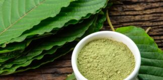 Druhy kratomu a jejich účinky: který je ten pravý pro vás?