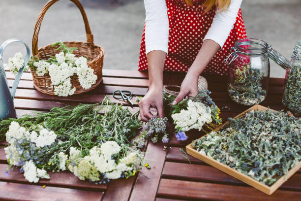 Young woman preparing medicinal herbs for tea