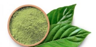 Zažíváme boom kratomu? Historický přehled a současný trend