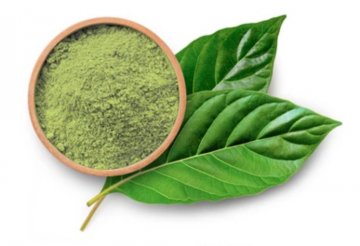 47eaf1e2752a34d6e63eb0d1b579fb9a-kratom-image